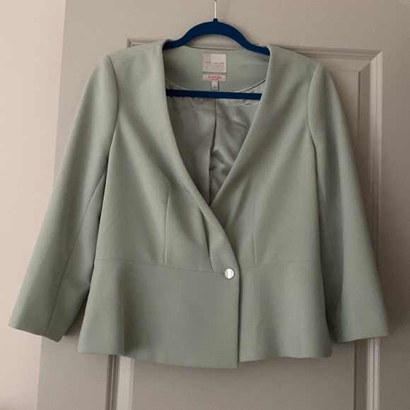 The Limited Scandal Blazer - Picture 4 of 8